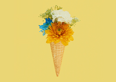 CARRÉMENT FLEURS